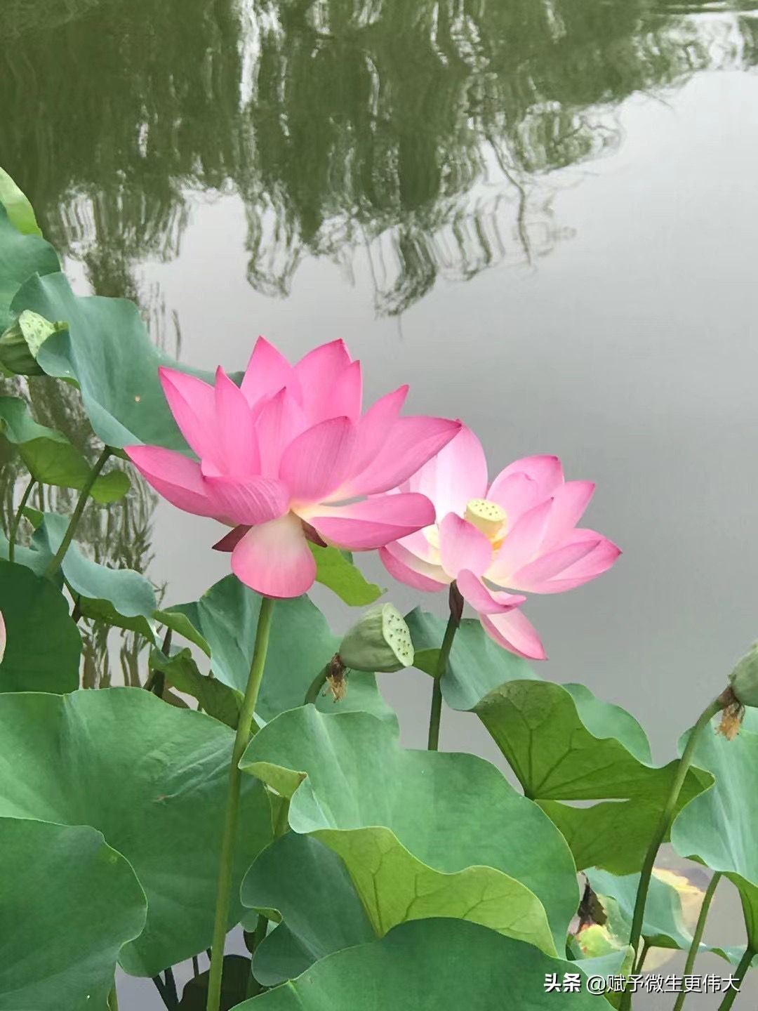 尽情说——平正章明花家地