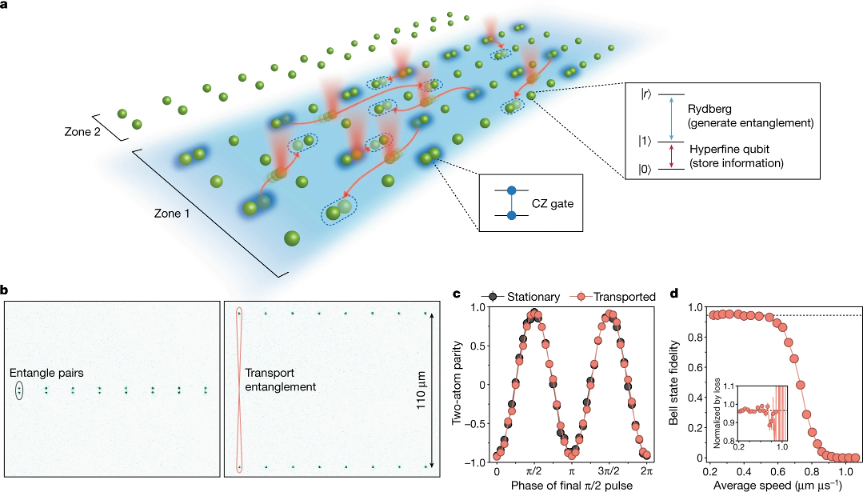 里程碑！中性原子体系迈向可扩展通用量子计算机
