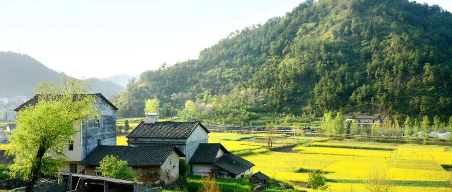 绿维文旅：就地城镇化是乡村振兴中最重大的课题