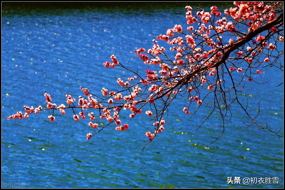 仲春春雨桃花美诗五首：二月桃花春雨里，夹岸桃花蘸水开