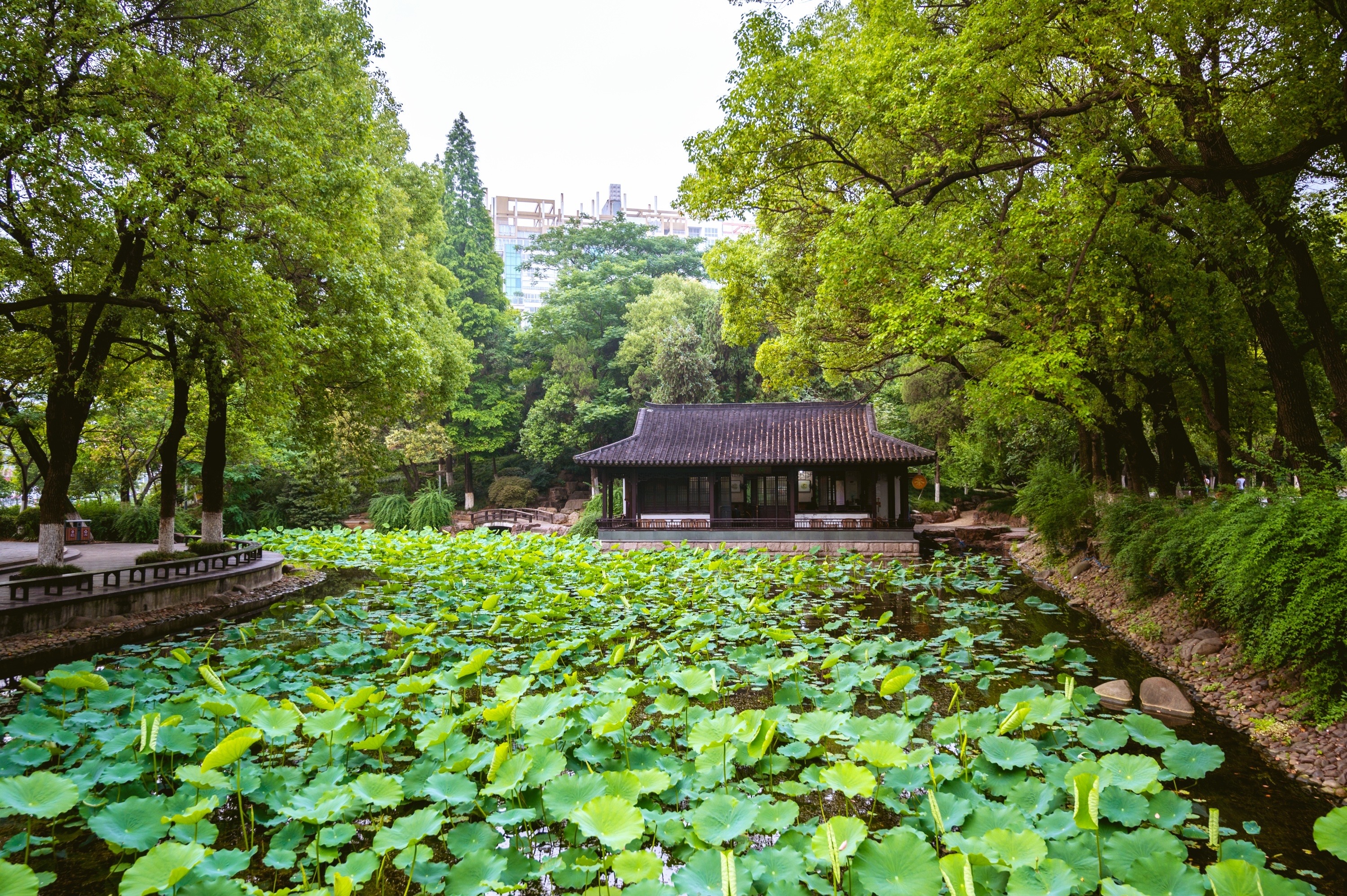 而就在江阴有这样一处古遗址,集江苏学政衙署遗址,这里是当年整个江苏