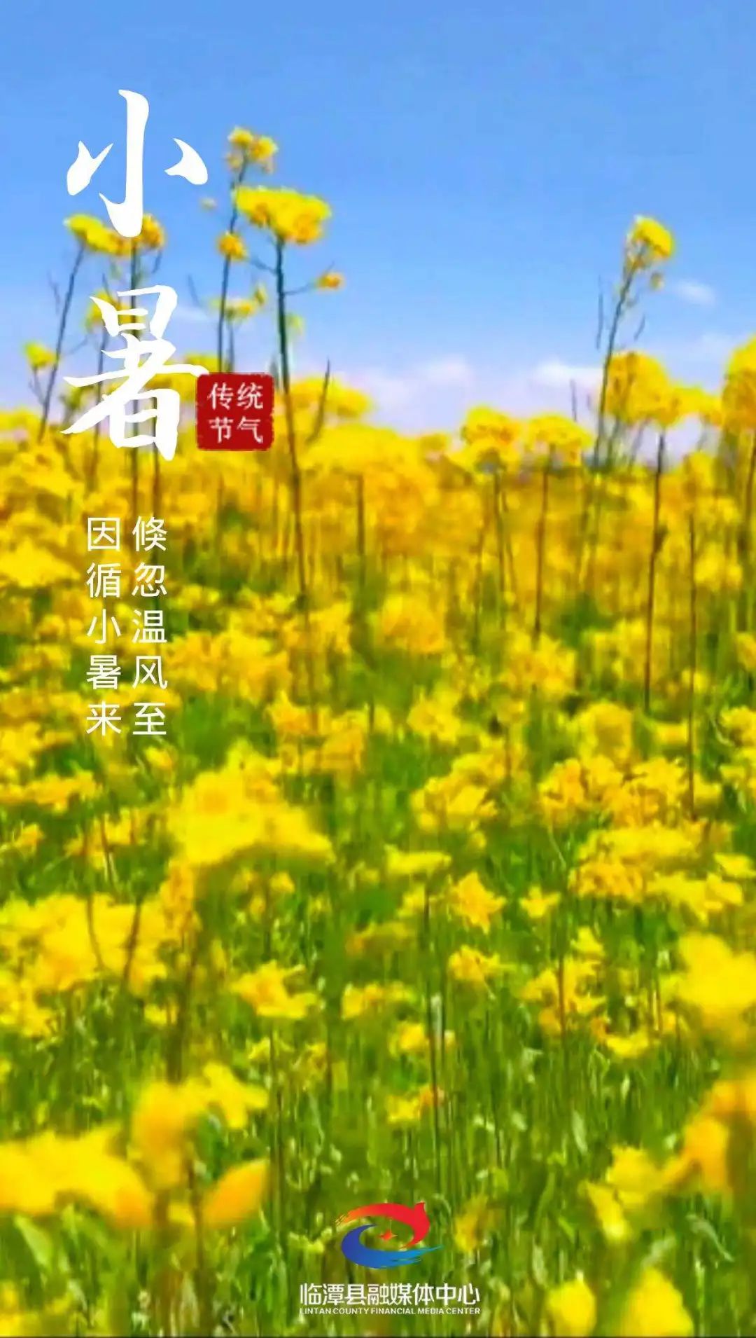 小暑，你好！