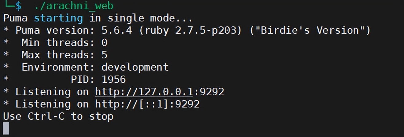 Web渗透_扫描工具Arachni