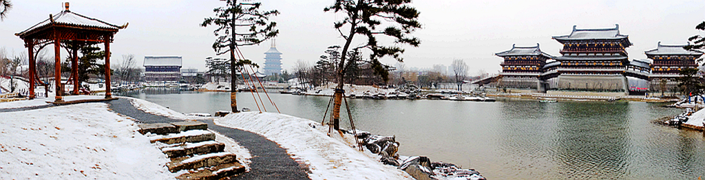 雪游九洲池