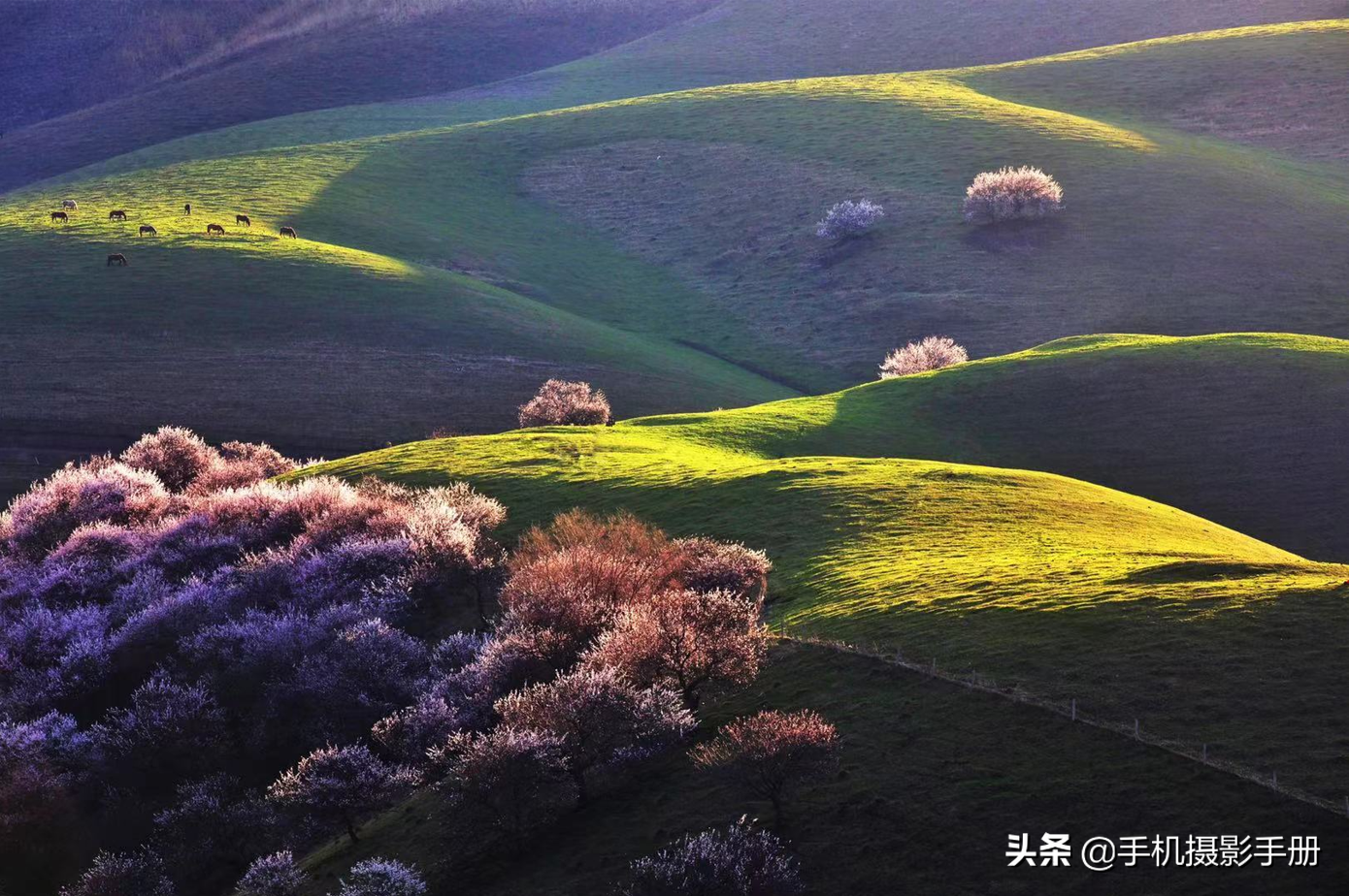 有风景，有摄影，还有爱人相随——我的2021年终盘点