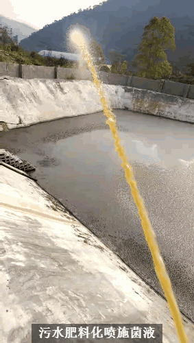 养殖场废水两种低成本快速处理技术，短时间解决环保问题