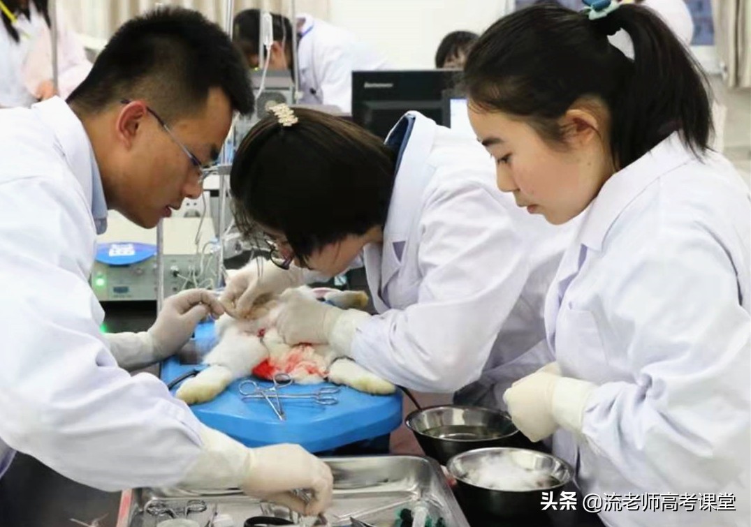 招生分数不高的两所医学院，招生专业好，性价比高，高考生可了解