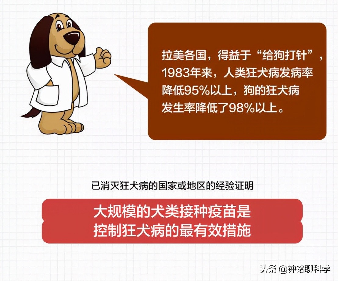 打了狂犬疫苗为何还会发病？第4针疫苗还差2天，男孩狂犬病发离世