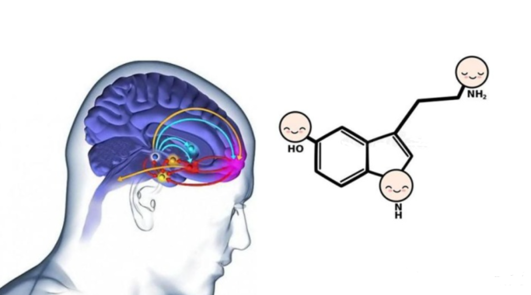 ����Ϊʲô��ʧȥ�������ǡ��������ǽ������ƣ����ǵ����ˣ�