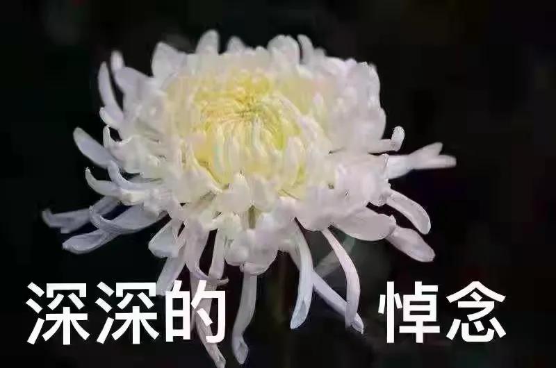 七律—悼陈明老师