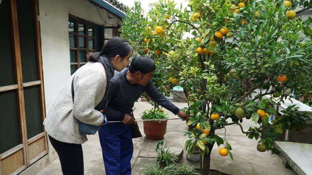 春天除了种花，还可以种“果树”，看着不起眼，养起来“好处多”