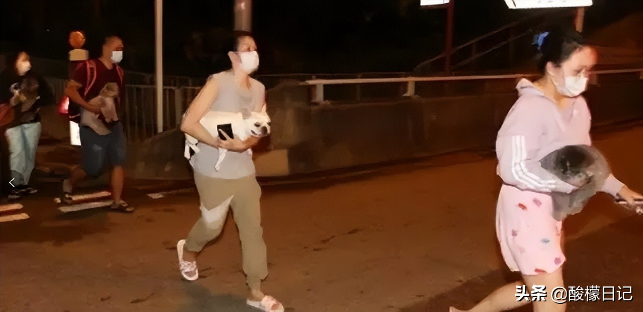 6位女星的上亿豪宅，李小冉8.5亿豪宅内养花，一个比一个奢侈