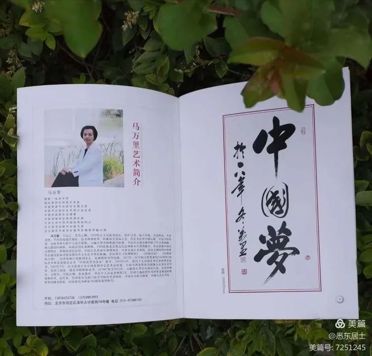 中国新时代国际艺术大家——马万里