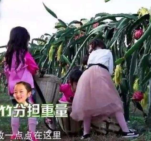 吴尊女儿华丽蜕变，亭亭玉立气质极佳，当公主养却没公主病