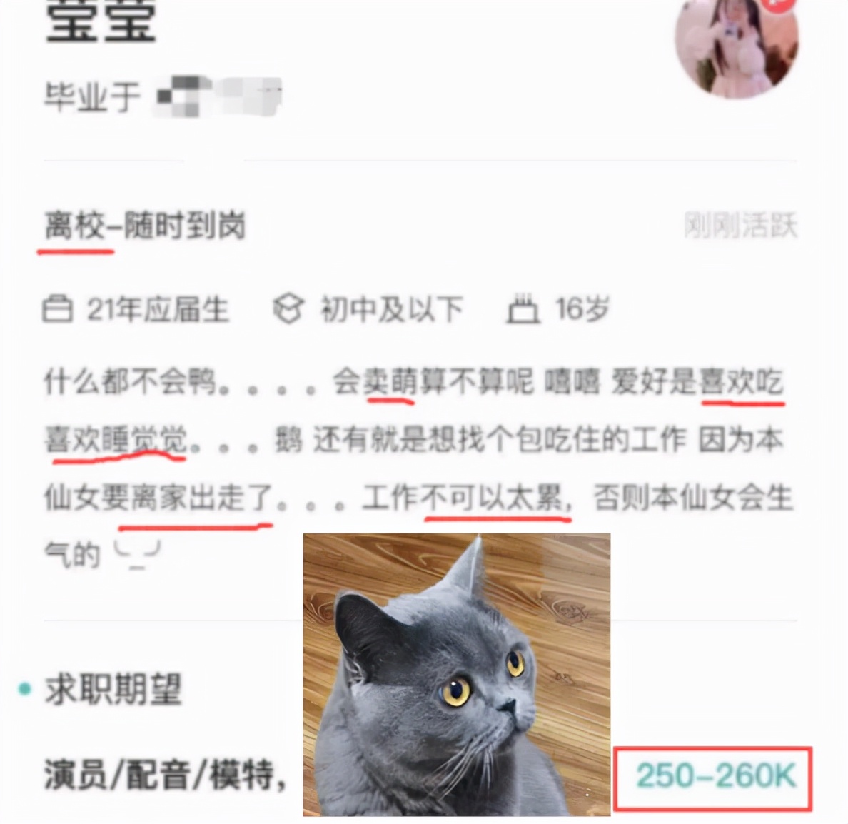 00后大学生简历走红，毕业生很勇敢，面试官看完竟不知该如何是好