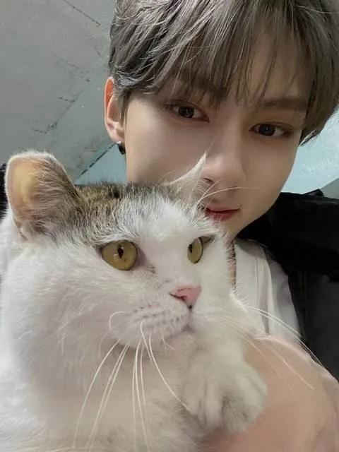 KPOP爱豆加入公司的奇奇怪怪的理由