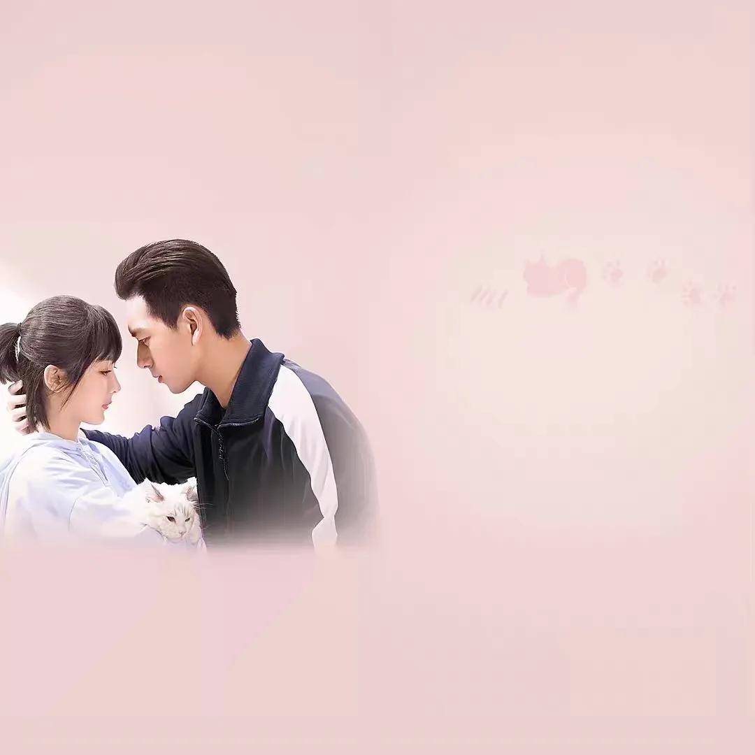 近十年年度大爆剧，哪部是你的白月光和青春