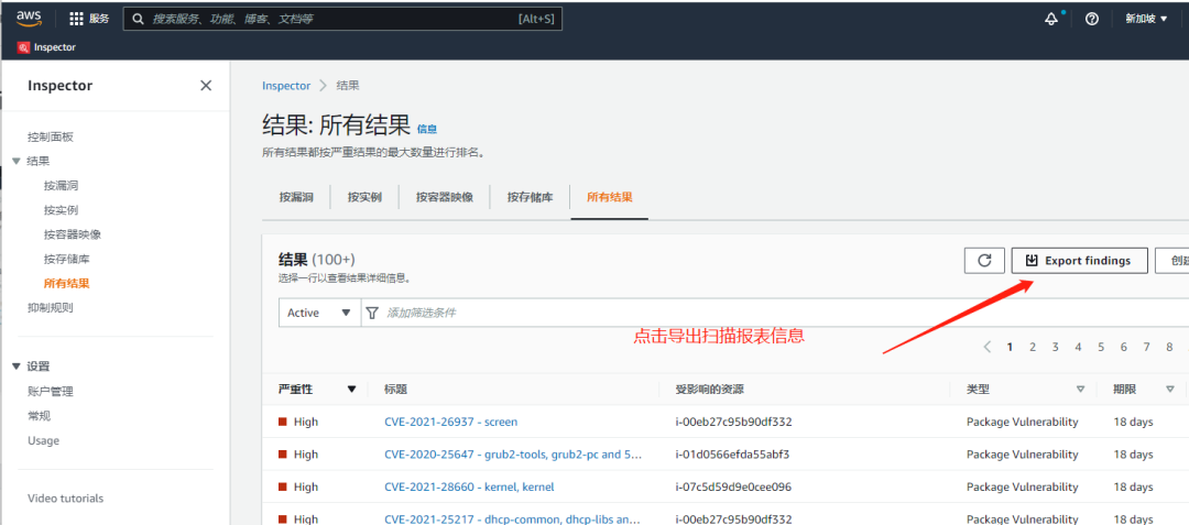 Inspector安全与自动生成报表实战