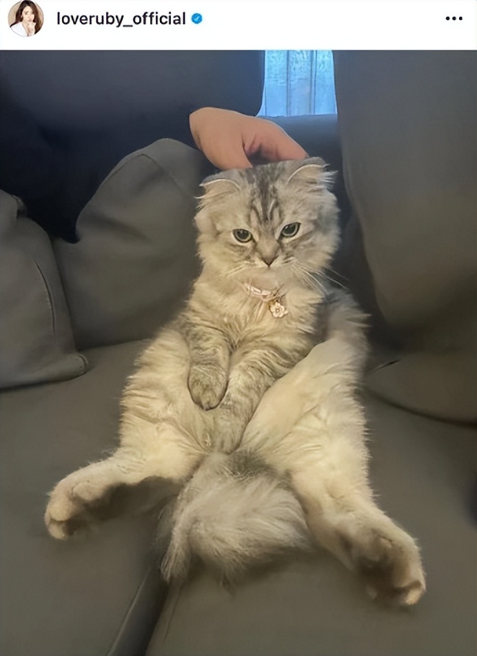 林心如自曝睡前给女儿讲故事，母爱满满，戴婚戒与霍建华隔空放闪