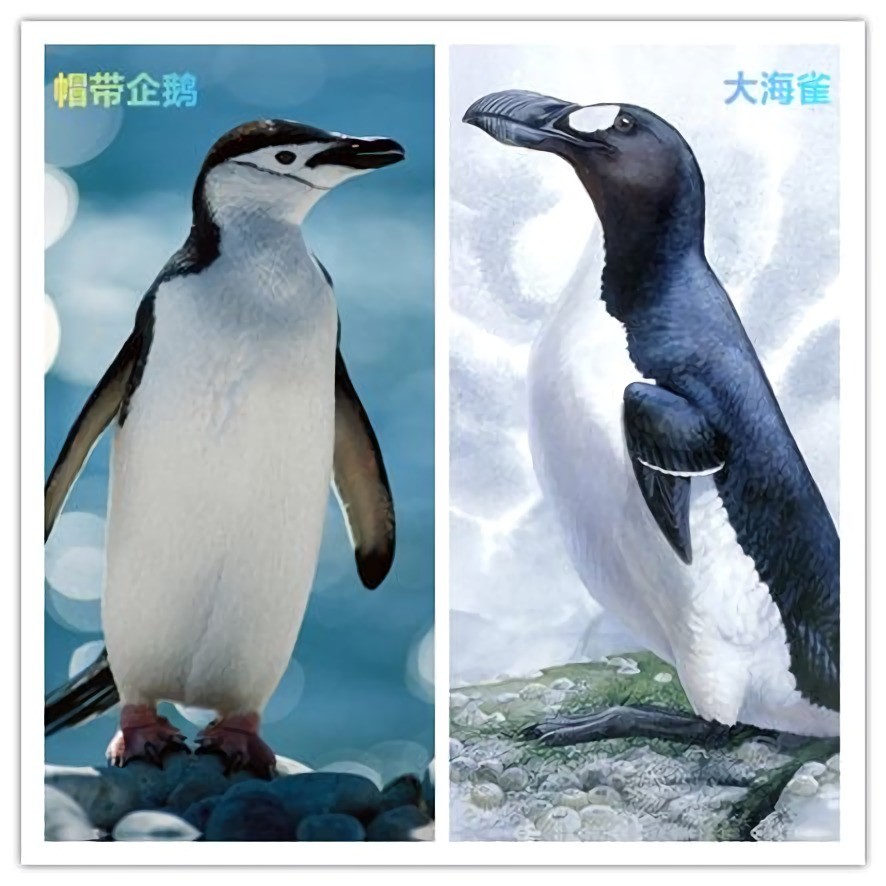 企鹅和北极熊（请人们重视起保护生物的多样性）