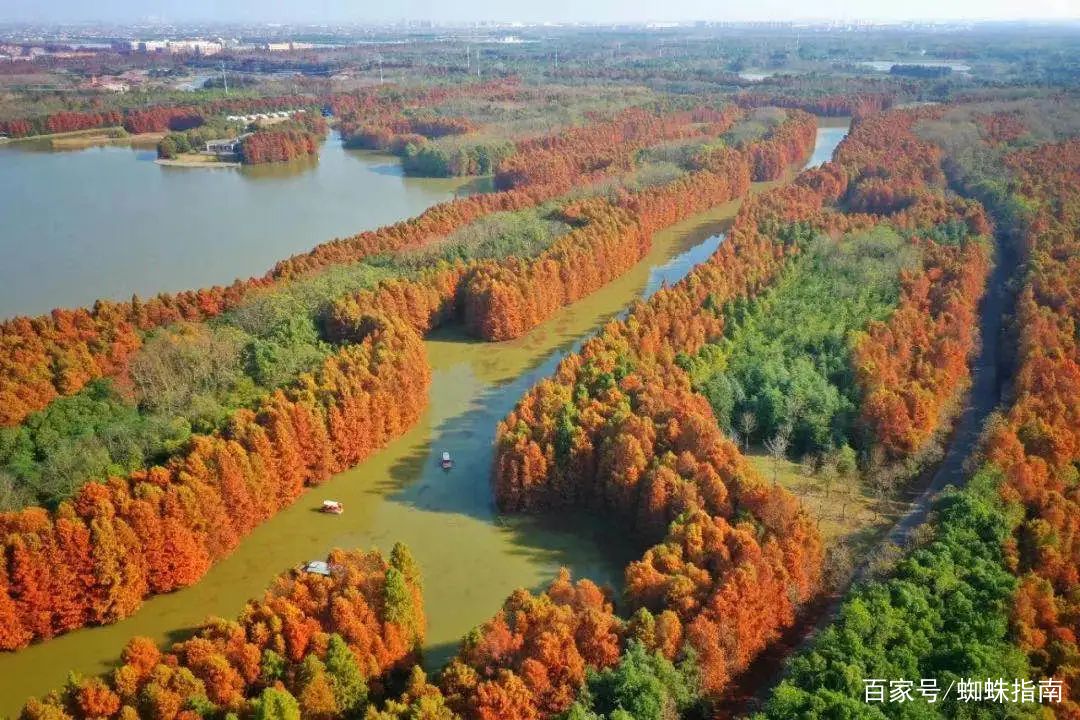 上海金秋去哪玩？必打卡这6个宝藏旅行地，遇见魔都最美的秋色