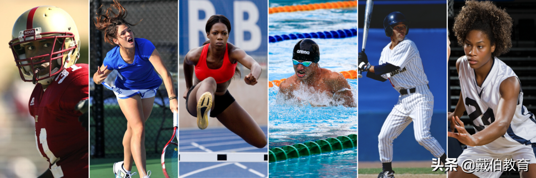 听说体育特长生进top30大学很容易，还有全额奖学金？