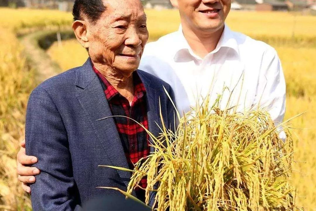 崔永元調查轉基因的紀錄片并不可靠