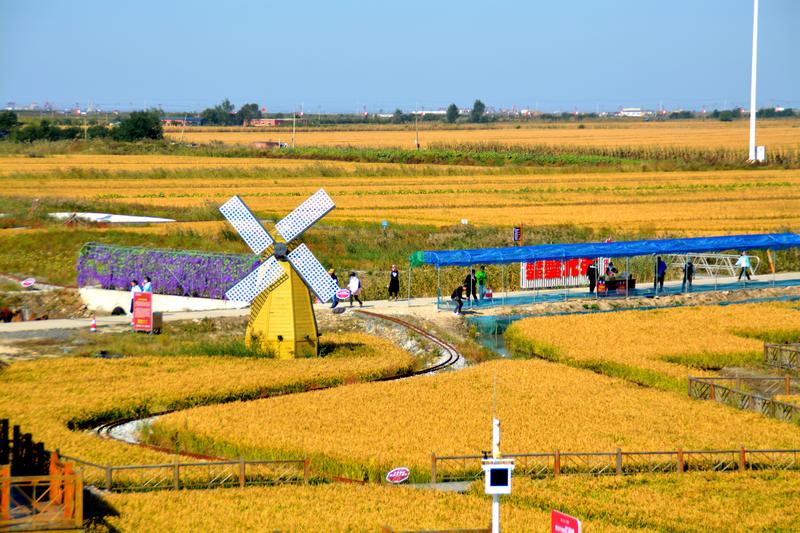去一个叫：辽宁盘锦的地方