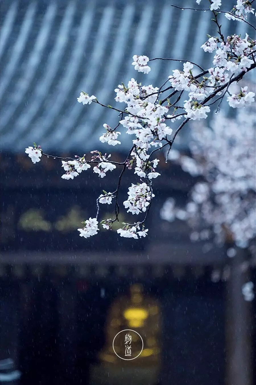 南方冬天的雨優美句子