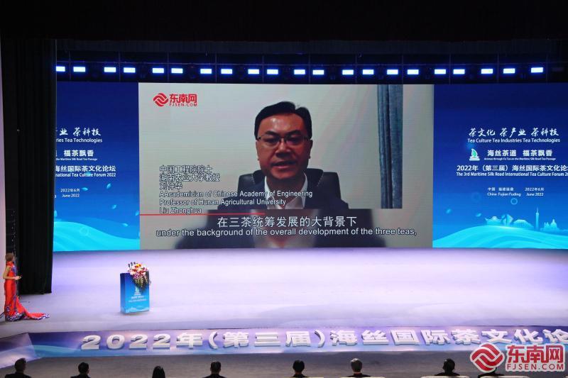 2022年第三届海丝国际茶文化论坛在福鼎开幕