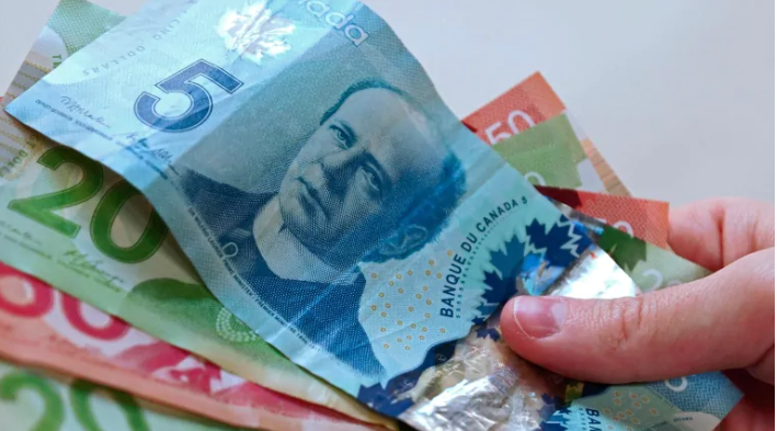 注意！入境加拿大，以下哪些物品需要申报？