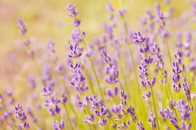虽然很伤感，但这才是现实⋯⋯