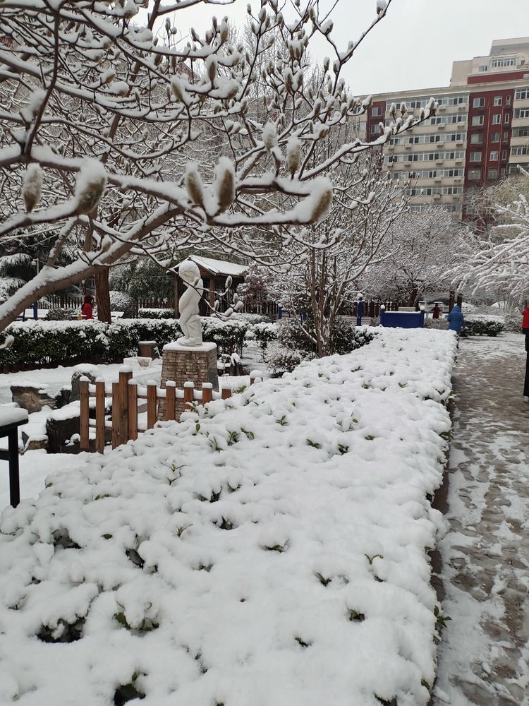 一场雪，让这里的春天真美 摄影/诗文：李武兵