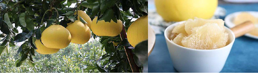 一种消亡的神秘古语，竟然还残存于江浙话里——吴语中的古越语