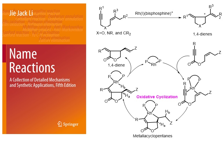 南方科技大学张绪穆教授近年来工作概览
