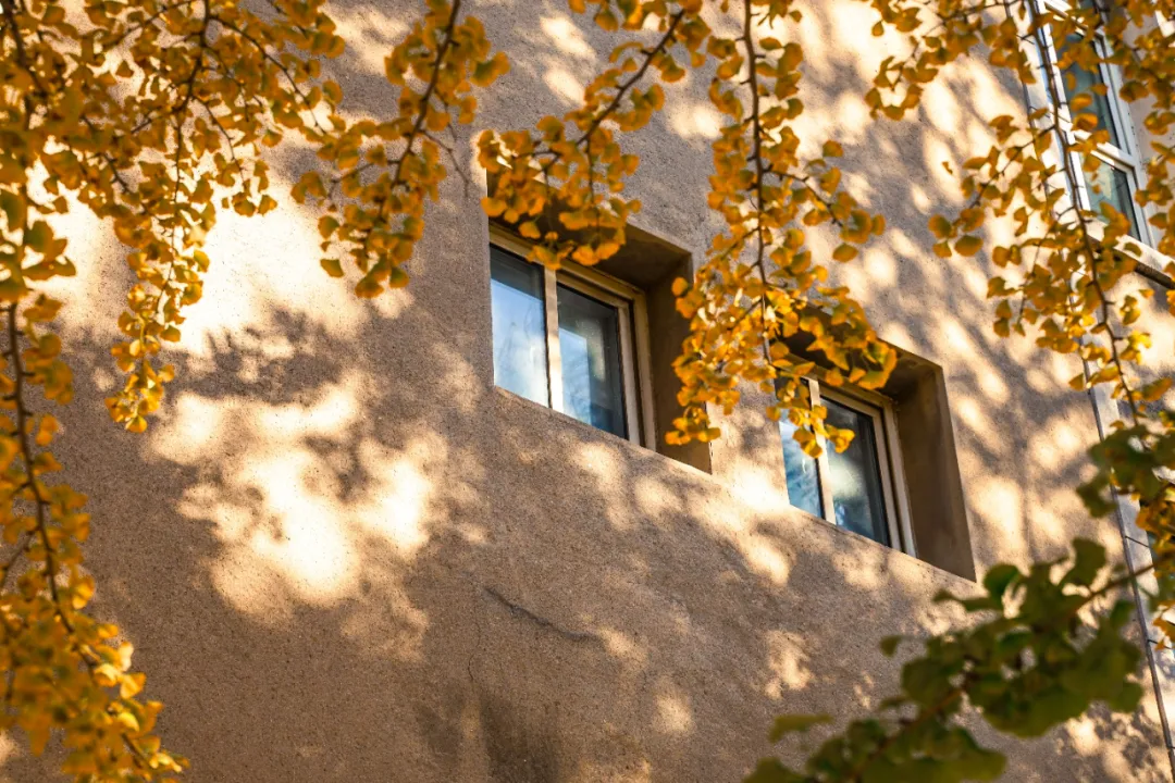 获奖名单公布！大工原来这么美