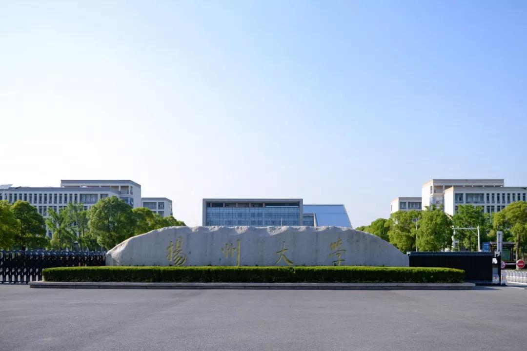 音乐美术校考60+统考300！扬州大学2022年艺术类录取需要多少分？