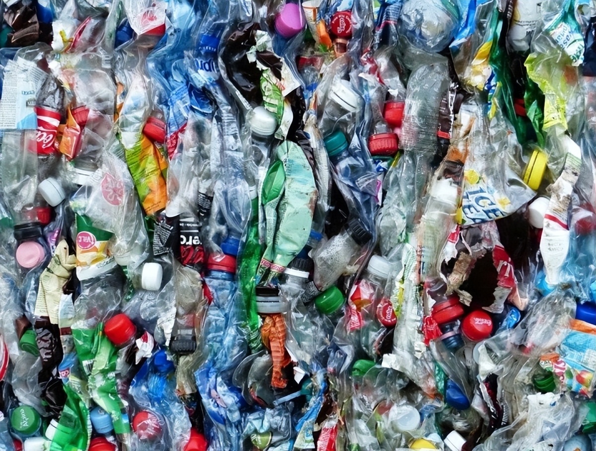 用微生物“吃掉”塑料垃圾，这可能吗？