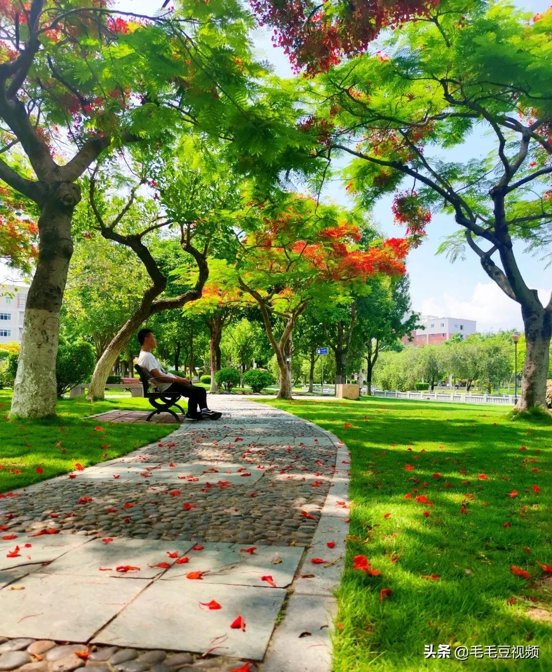 集美杏林有什么好玩的地方啊