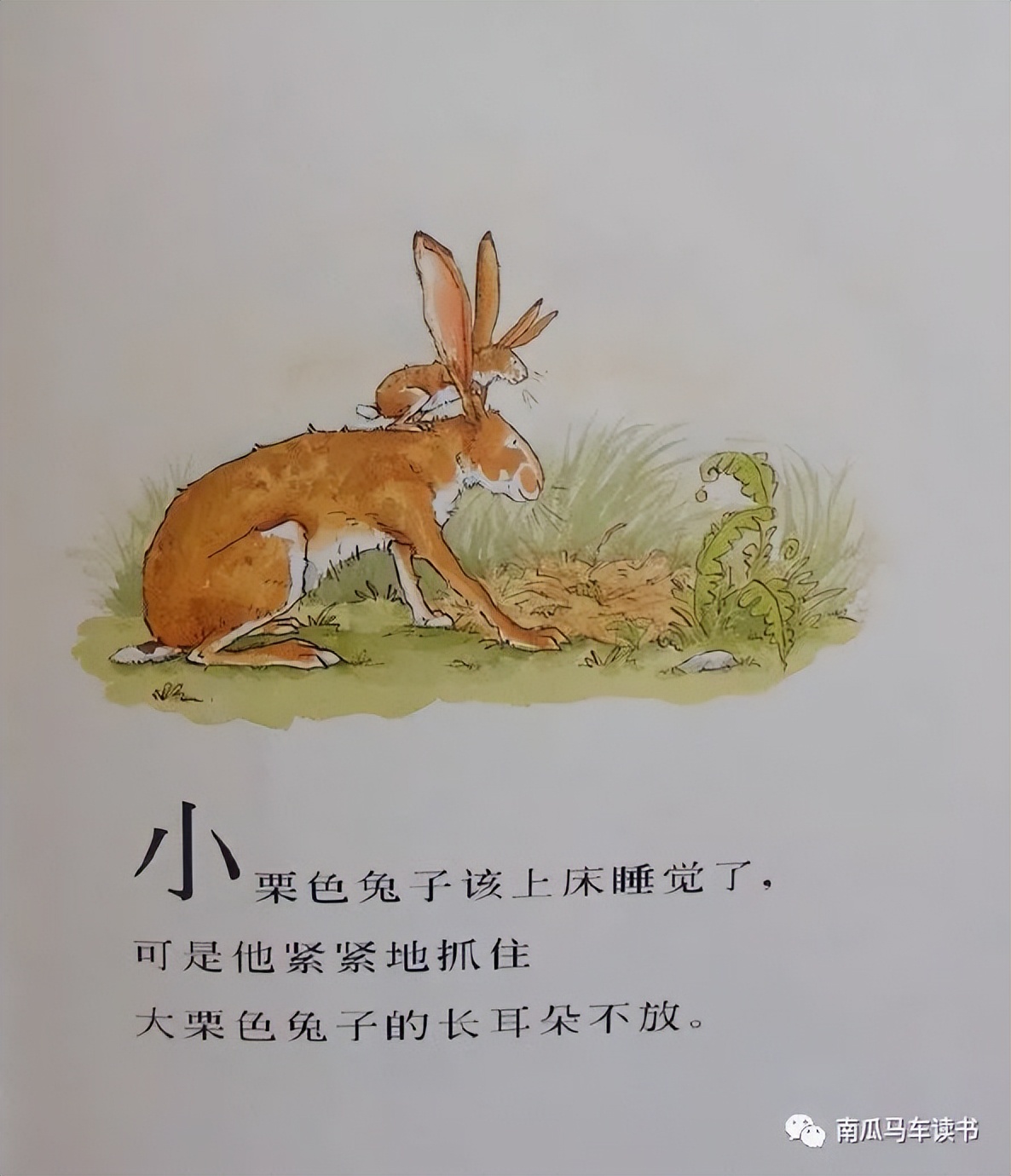 绘本《猜猜我有多爱你》：致敬母亲节——母爱到底有多长