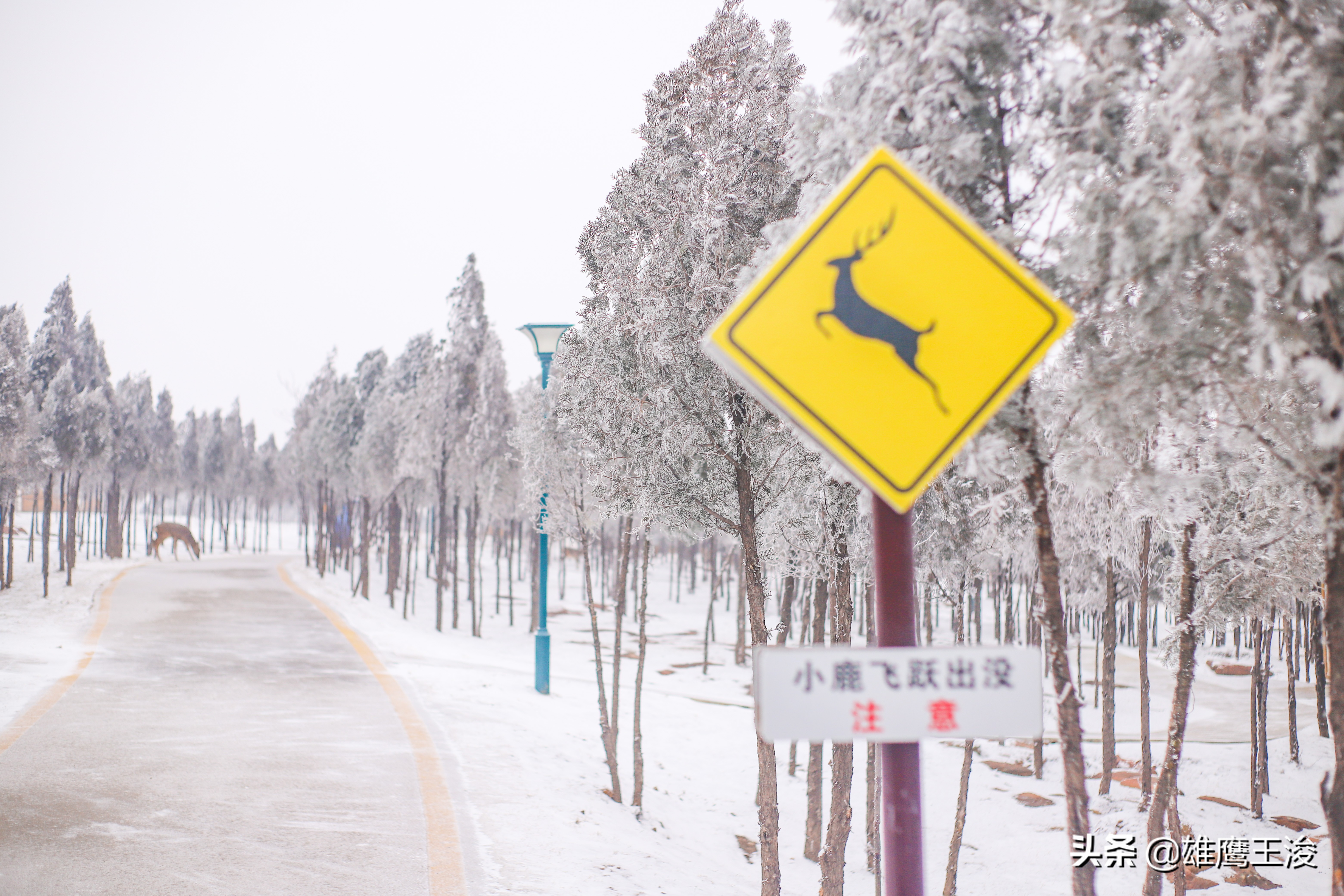 河南宝藏旅行地，距郑州市区仅55公里，冬季自驾游不能错过
