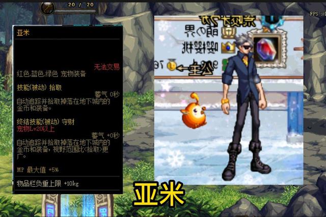 DNF：盘点实用型宠物排行，60版本竞速大佬必备，惊艳到我了