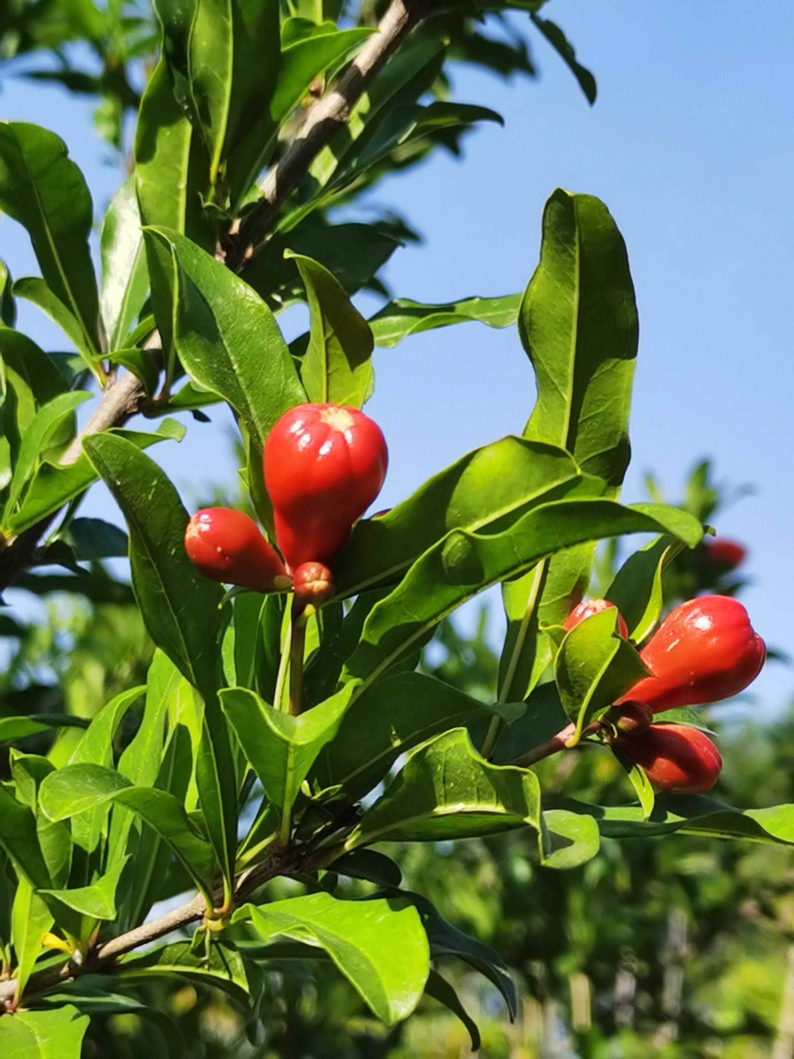 起诉状等法律文书小大全