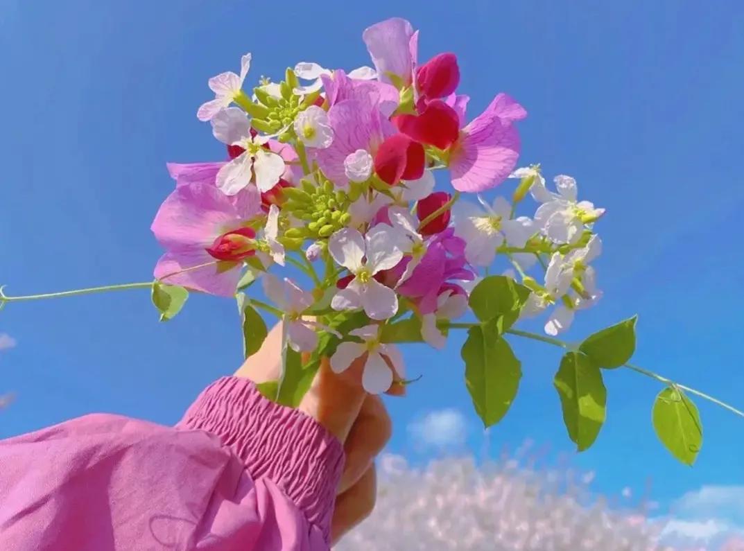 工商注册自然人（个人或者初创公司如何注册商标）