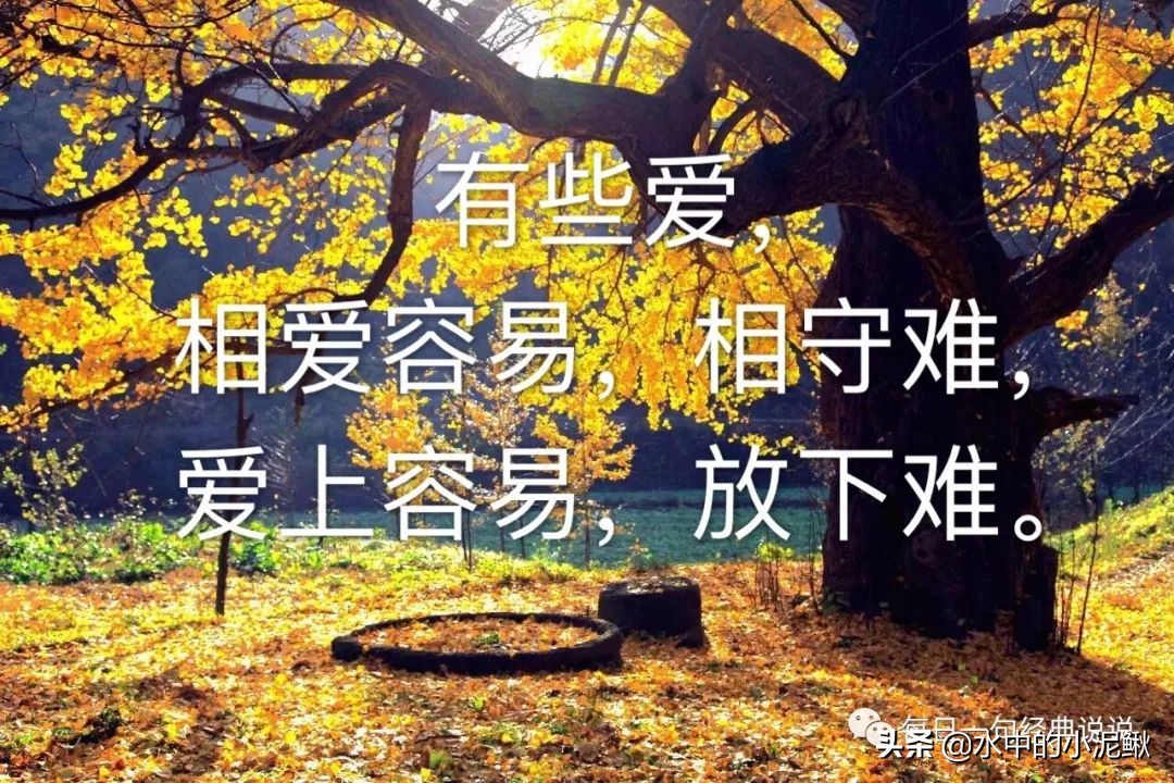 适合写心情的经典句子，喜欢的拿走，不谢