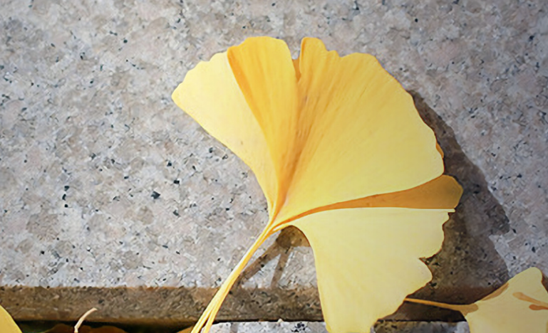 全国最好的政法大学（中国政法类大学名单一览）