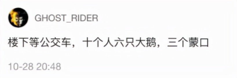 除了“大鹅”，羽绒服还有波司登、鸭鸭、南极人、雪中飞等品牌哦。
