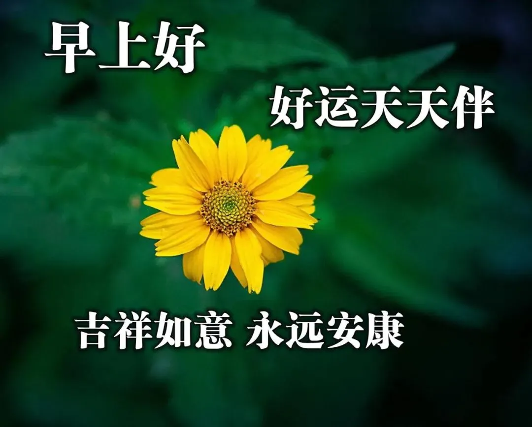 「2022.01.08」早安心语，正能量人生感悟语录句子微信早上好图片