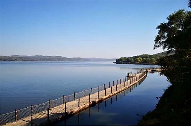 马俊仁跌落神坛后过得如何？疯狂的广告代言，靠藏獒包装炒作