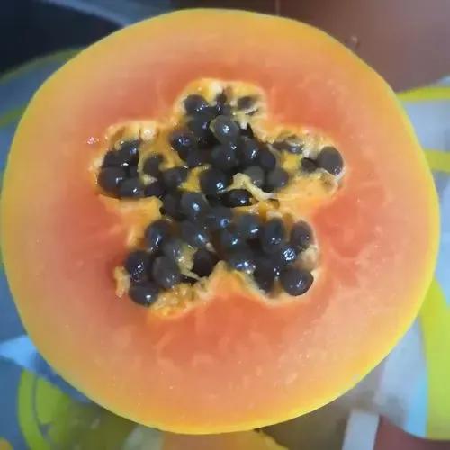 你敢用木瓜籽当鱼子酱套路好友吗?